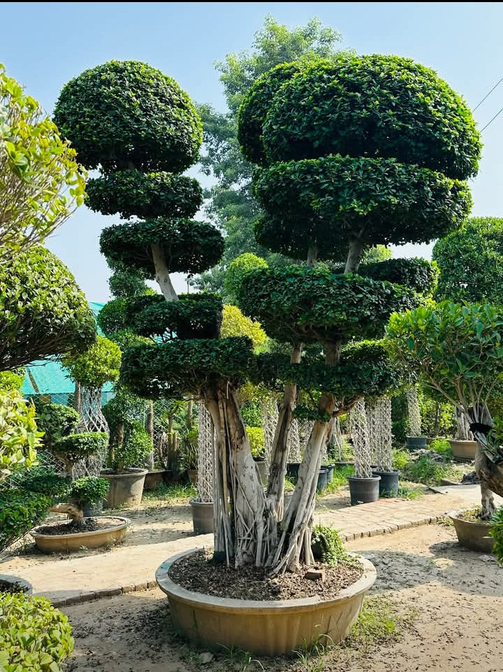 Multi-tier ornamental bonsai tree
